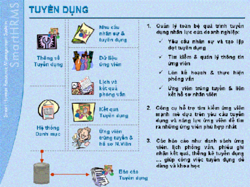 Quan Ly Tuyen Dung